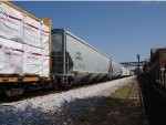 CRDX 540036